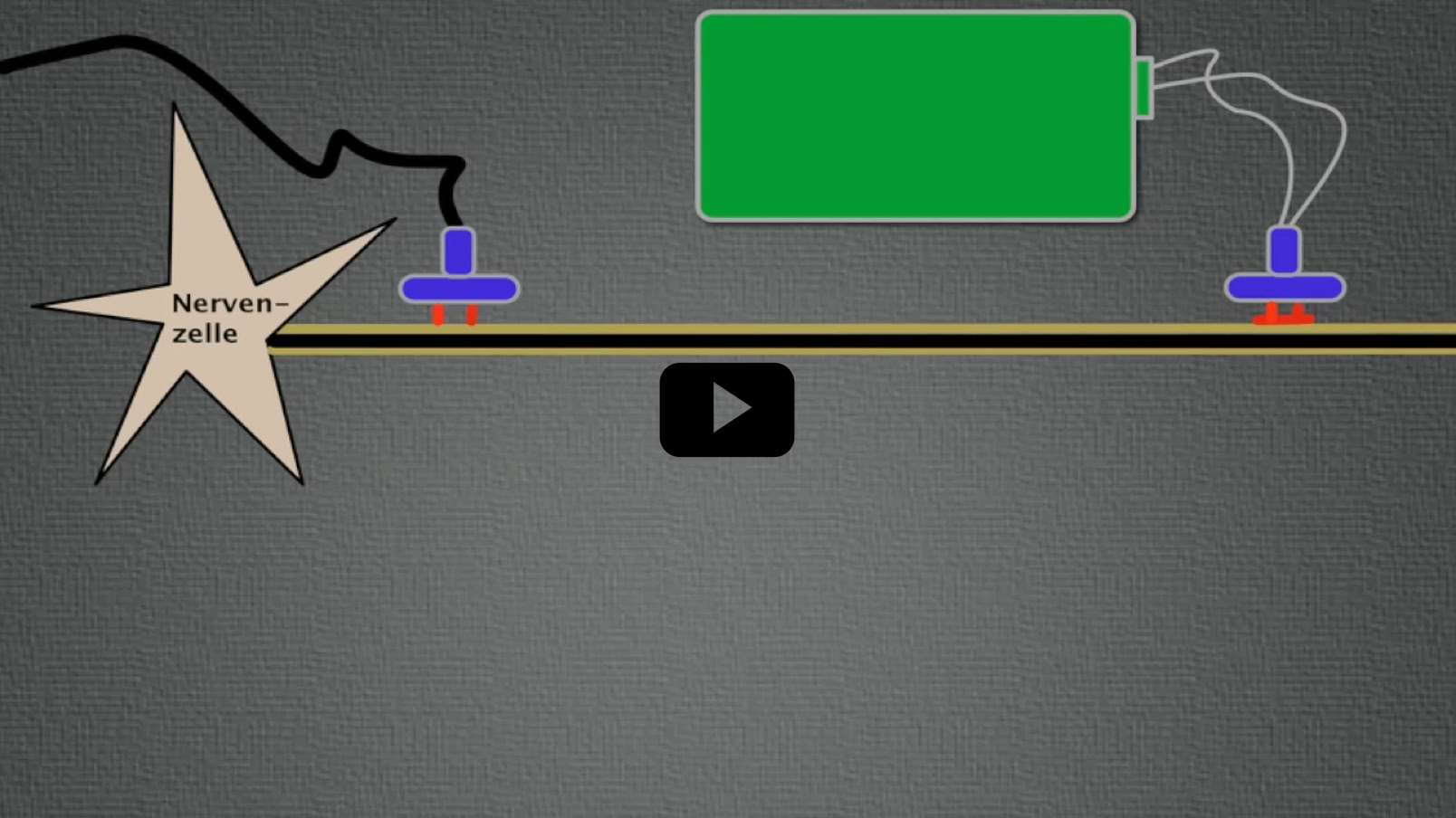 Video Video abspielen